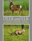 Deer and Elk
