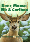 Deer, Moose, Elk and Caribou