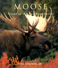 Moose : Giants of the Northern Forest