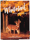 Way of the Whitetail : Magic and Mystery