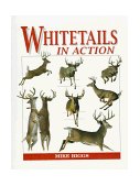 Whitetails in Action