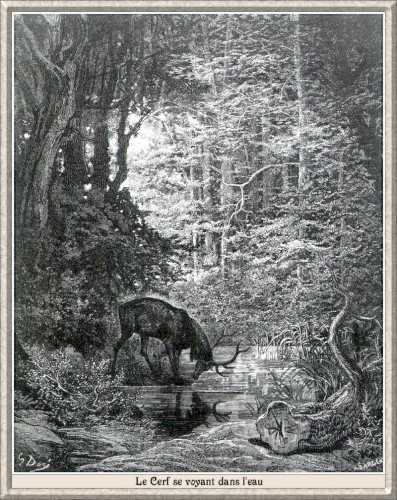 The deer which saw itself in the water