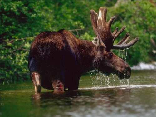 Bath time
