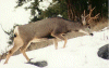 L'hiver